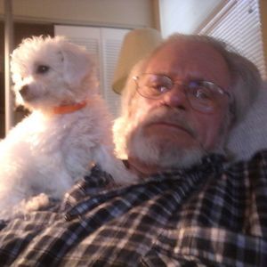 Meet your Posher, Philip